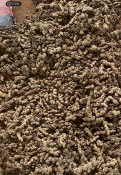 Fresh ginger , onions, Tumeric from Kingsford Prestige Enterprice Fresh ginger , onions, Tumeric - Kingsford Prestige Enterprice - Ghana