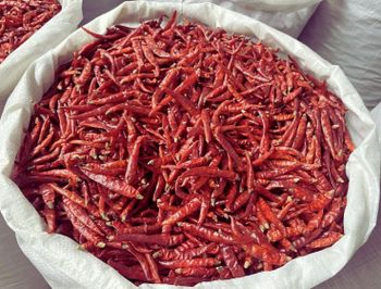 Premium Rwanda Teja Dried Chili Peppers - Fiery Red, 75,000–100,000 SHU, Sustainably Farmed - ITC A INVESTMENTS  - Rwanda