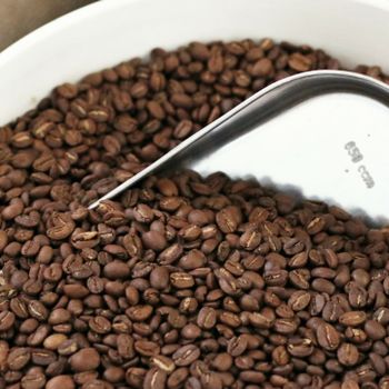 High Quality Vietnamese Freshly Roasted Brown Arabica Coffee Beans Made In Vietnam Export Standard - EXPO COMMODITIES (VIET NAM) COMPANY LIMITED - Vietnam