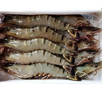 High Quality Frozen Black Tiger Shrimp Variety In Bulk For Importer - TANIS IMPORT & EXPORT COMPANY LIMITED - Vietnam