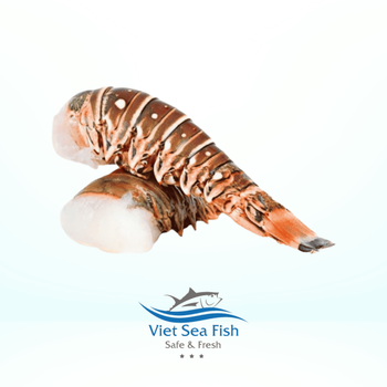 Spini Lobster Tail from Viet Sea Fish Ltd., Co. Spini Lobster Tail - Viet Sea Fish Ltd., Co. - Vietnam