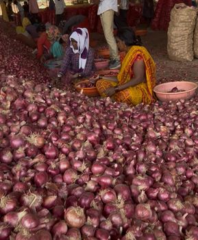 Red Onion - Worldwide Connecting Ports LLP - India