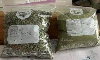 Moringa Powder from Ferora Moringa Powder – product photo, Organic Moringa Powder products found from trusted suppliers, wholesalers, manufacturers & exporters Listing