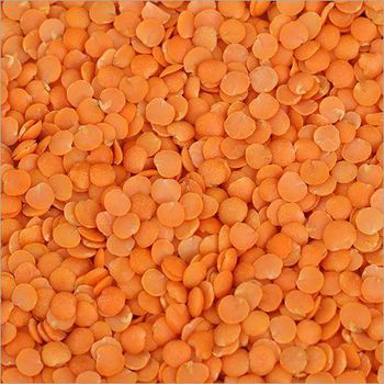 Red lentils - Endowharvest pvt ltd  - India