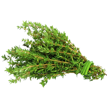 Thyme Origin Mediterranean Climate Flavor Profile Refreshing, Earthy Aroma Type Soft, Sweet, And Sharp Harvest Method Cutting Just Above The Leaf - Talanyak Gardens  - Kenya