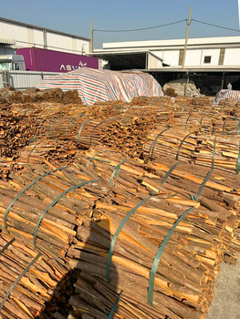 Cassia Cinnamon