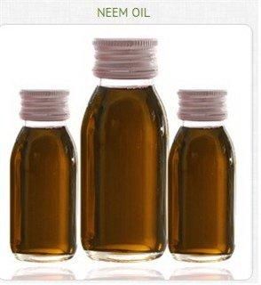 Neem Oil Grade A Content Oil Type Neem Oil Color Dark Brown Specification 99% Shelf Life 3 years Packaging Bulk, Drum Model Number - NAUMANSAB OIL COMPANY - Pakistan