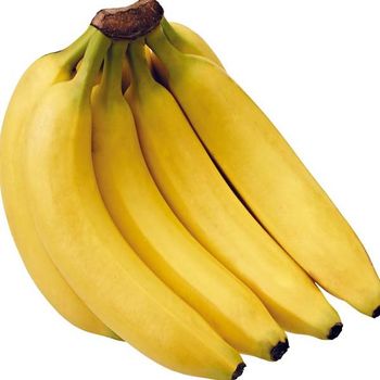 Fresh Cavendish Banana/ Musa Banana Fruit Export wholesale High Quality (Certification: GAP, HACCP...) - 100% Organic – product photo, Organic Banana Puree products found from trusted suppliers, wholesalers, manufacturers & exporters Listing