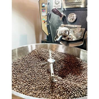 Green Robusta Coffee 98% Maturity Robusta Green Coffee Beans Fruity, Flowery, Balanced Best choice for start-ups from Vietnam - VIET COFFEE COMPANY LIMITED - Vietnam