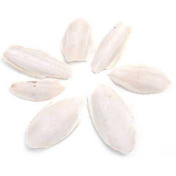Premium Dried Cuttlefish Bone Wholesale Seafood Dried Cuttlefish Bones High Quality Lowest Price 100% Natural Bag Packaging AD - TANIS IMPORT & EXPORT COMPANY LIMITED - Vietnam