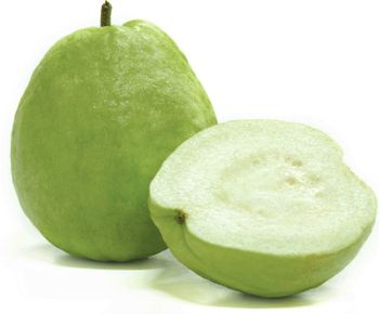 Fresh Guava (Green Skin) from Vietnam for the best price to export - VietGAP and GlobalGAP standards in agricultural production - NGAN HOA PHAT TRADING SERVICE COMPANY LIMITED - Vietnam