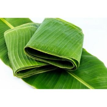 Fresh Banana Leaf, Fresh Banana leaves Vietnam Export for wholesale vacuum pakaging 5kg per PA bag - NGAN HOA PHAT TRADING SERVICE COMPANY LIMITED - Vietnam