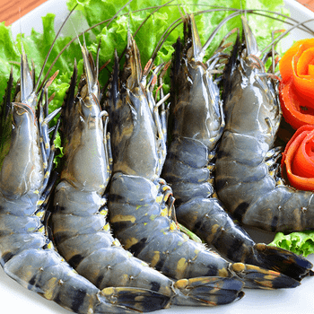 Wholesale Frozen HOSO Black Tiger Shrimp iqf block packing 1.3 kg/tray EU standard - fresh udang tiger prawn head on shell on - TANIS IMPORT & EXPORT COMPANY LIMITED - Vietnam