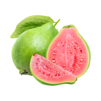 Vietnamese Guava export is widely grown in many regions, is a fruit with many nutritional benefits, with high vitamin C content. - NGAN HOA PHAT TRADING SERVICE COMPANY LIMITED - Vietnam