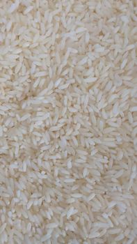 Sona Masoori Rice Place of Origin India Certification SGS, Phythosanitary Size Average Grain Length- 5-5.2MM Specification Broken Grain- Under - RAT Rice Asia Trade - Vietnam