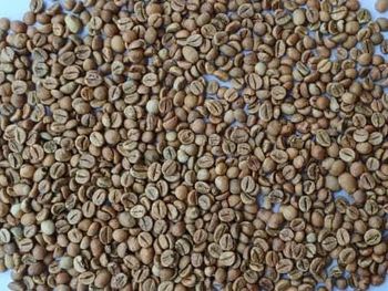 Green Coffee – product photo, Green Coffee Extract products found from trusted suppliers, wholesalers, manufacturers & exporters Listing