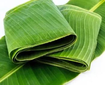 banana leaf - amal berkah insani - Indonesia