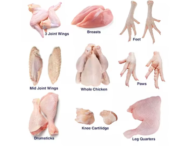 Frozen Chicken Feet and Chicken Paws from Brasil Foods SA Frozen Chicken Feet and Chicken Paws - Brasil Foods SA - Brazil