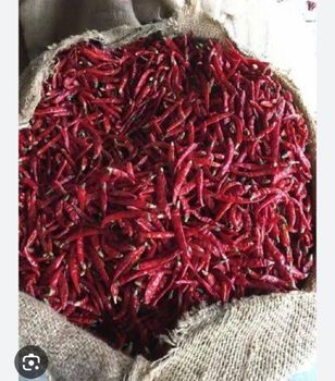 Dried red chilli  Chili Variety Teja S17 Processing Method Steam And Without - Spark international  - India