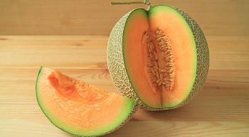 Muskmelon, Fresh Muskmelon Grade Top quality Packaging Carton box Flavor Juicy And Sweet Purity 100% Natural And Pesticide-free - Radha Global Exporters - India