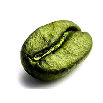 Coffee Beans from Vietnam at Cheap Price - Green Coffee – product photo, Green Beans Coffee products found from trusted suppliers, wholesalers, manufacturers & exporters Listing