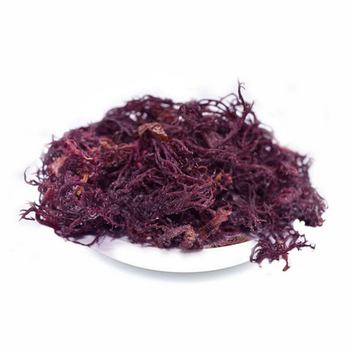 Purple SeaMoss/ Irish Moss - making sea mos Gel with Good Quality and Best Price - Seafood From Vietnam - NAM VAN LONG COMPANY LIMITED - Vietnam