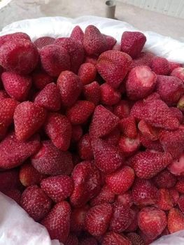 Frozen Strawberries IQF- Grade A - Green Globe - Egypt