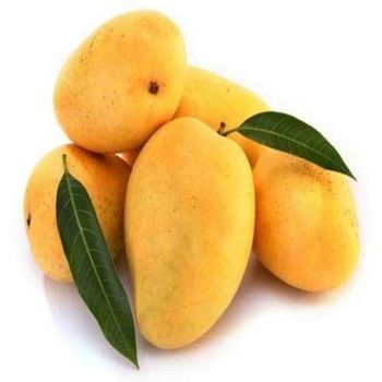 Fresh CAT HOA LOC Mangoes fruit from Vietnam - 100% Organic - Best Price for Export - Pakistani Mangoes - NGAN HOA PHAT TRADING SERVICE COMPANY LIMITED - Vietnam