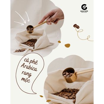 Roasted Arabica Coffee Beans High Quality Medium Roast Fruity, Flowery, Balanced Arabica Coffee Bean Price For Sale - VIET COFFEE COMPANY LIMITED - Vietnam