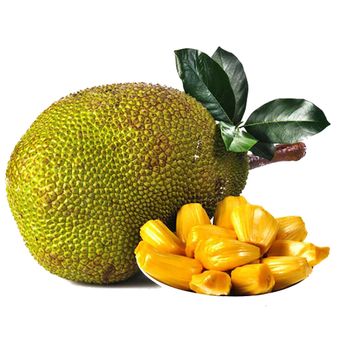 IQF FROZEN JACKFRUIT PEELED AND CORED/ STRIPS/ DICE/ PEELED WITH SEED ORIGIN VIETNAM / Yaca congelada pelada y sin corazon - AN VAN THINH FOOD LIMITED COMPANY - Vietnam