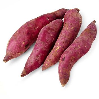 Japanese sweet potato from vietnam for export with high quality competive price japanese purple sweet potato from NGAN HOA PHAT TRADING SERVICE COMPANY LIMITED Japanese sweet potato from vietnam for export with high quality competive price japanese purple sweet potato - NGAN HOA PHAT TRADING SERVICE COMPANY LIMITED - Vietnam
