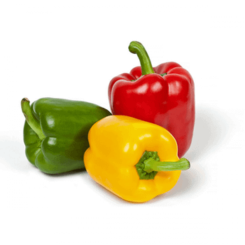 Bell Peppers/Capsicum - Natural Fruit from Vietnam - High Quality and Best Price for export to many markets. - NGAN HOA PHAT TRADING SERVICE COMPANY LIMITED - Vietnam