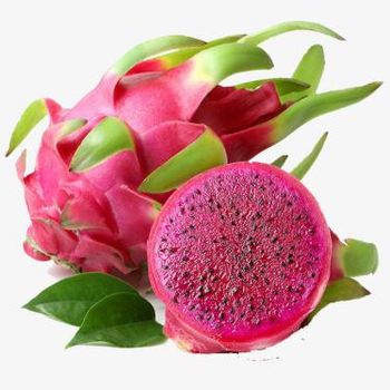 Fresh Red Dragonfruit from Vietnam for the best price to export - VietGAP and GlobalGAP standards in agricultural production - NGAN HOA PHAT TRADING SERVICE COMPANY LIMITED - Vietnam