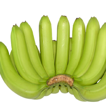 Fresh Cavendish Banana 100% Natural High Quality Fruit from Vietnam & Best Price for Export to many other markets. - NGAN HOA PHAT TRADING SERVICE COMPANY LIMITED - Vietnam