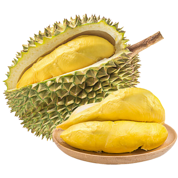 IQF Frozen Durian Monthong - Tropical Fruits & Vegetables from Vietnam - NGAN HOA PHAT TRADING SERVICE COMPANY LIMITED - Vietnam