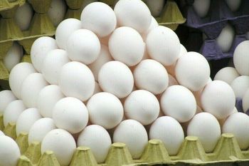 Chicken table egg Grade Grade A Weight Per Egg 59–61 Grams Egg Size Large To Extra-large Packaging Option 180 Eggs Per - 46Stars LLC - United States