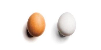 Chicken table egg Grade Grade A Large, white or brown Packaging 180 eggs per carton pric from 13-18$ per carton depending on destination - 46Stars LLC - United States