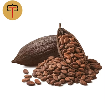 Certified Premium Grade Cocoa Beans from Ivory Coast – product photo, Fermented Cocoa Beans products found from trusted suppliers, wholesalers, manufacturers & exporters Listing