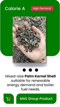 Palm Kernel Shell Export Quality from Indonesia from PT Makmur Amanah Sejahtera Sawit Palm Kernel Shell Export Quality from Indonesia - PT Makmur Amanah Sejahtera Sawit - Indonesia