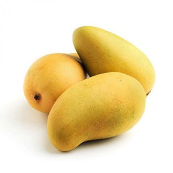 HOT SALES - Fresh CATCHU Mango from Vietnam for export with best price and high quality - NGAN HOA PHAT TRADING SERVICE COMPANY LIMITED - Vietnam