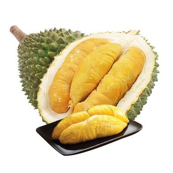 FRESH DURIAN RI6 MONTHONG EXPORT WHOLESALE FROM VIETNAM HIGH QUALITY SUPPLIER FOR US, EU MARKET – product photo, Fresh Durian Monthong products found from trusted suppliers, wholesalers, manufacturers & exporters Listing