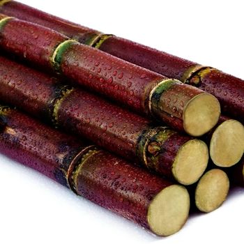 IQF - Frozen Sugarcane from Vietnam - Export wholesale High Quality (Certification: GAP, HACCP...) - 100% Organic - NGAN HOA PHAT TRADING SERVICE COMPANY LIMITED - Vietnam
