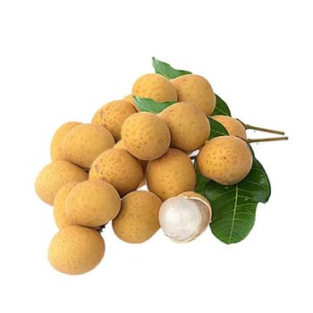Vietnam High quality longan fruit fresh for export good price, Special Longan in Vietnam - NGAN HOA PHAT TRADING SERVICE COMPANY LIMITED - Vietnam