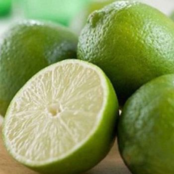 Fresh Seedless Lime (Green Seedless Lemon) Guaranteed Fresh and New / Packaged carefully - NGAN HOA PHAT TRADING SERVICE COMPANY LIMITED - Vietnam