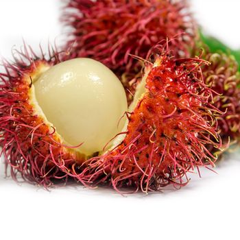 IQF RAMBUTAN IQF FROZEN RAMBUTAN FROZEN ORIGIN VIETNAM FROM AN VAN THINH FOOD COMPANY / PELO CONGELADO - AN VAN THINH FOOD LIMITED COMPANY - Vietnam
