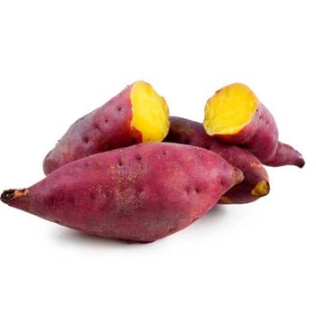 Japanese Sweet Potato from Vietnam for export with high-quality - Best price - Japanese purple sweet potato ready to export from NGAN HOA PHAT TRADING SERVICE COMPANY LIMITED Japanese Sweet Potato from Vietnam for export with high-quality - Best price - Japanese purple sweet potato ready to export - NGAN HOA PHAT TRADING SERVICE COMPANY LIMITED - Vietnam