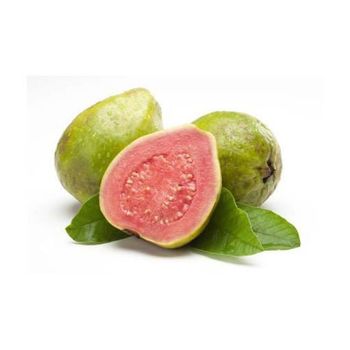 Fresh guava Vietnam for export with best price high quality product ready to shipping EU ASIA Market - NGAN HOA PHAT TRADING SERVICE COMPANY LIMITED - Vietnam