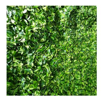 Dried Lemon Leaves/ Slices Dried Lemon leaves/ Dried Lime Leaves Dehydrated Lemon leaf for Tea ORigin Vietnam - NATURAL FOODS PLUS COMPANY LIMITED - Vietnam