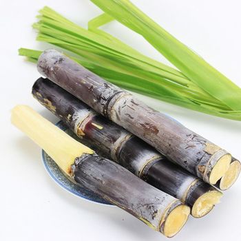 IQF - Frozen Sugarcane Stick - Factory Direct Sales - Frozen Fruits and Vegetables in bulk - NGAN HOA PHAT TRADING SERVICE COMPANY LIMITED - Vietnam