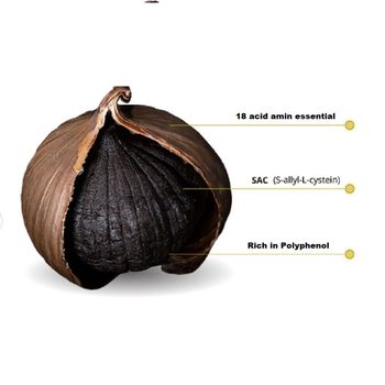 Fermented Black Garlic Organic Vietnam black garlic used as medicine High Quality Healthy Food - NGAN HOA PHAT TRADING SERVICE COMPANY LIMITED - Vietnam